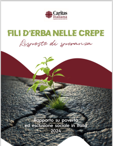 Fili d'erba nelle crepe